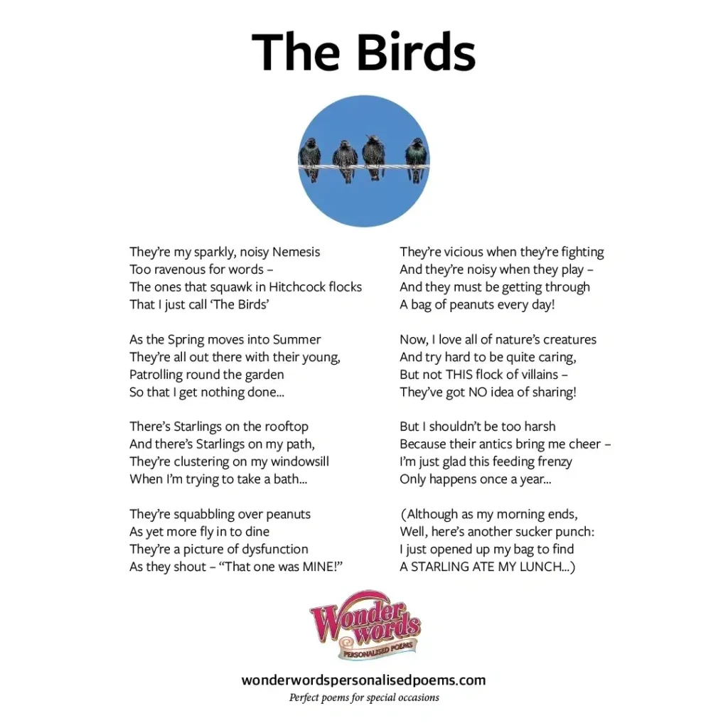 Funny Poem about Birds by Wonderwords Personalised Poems
