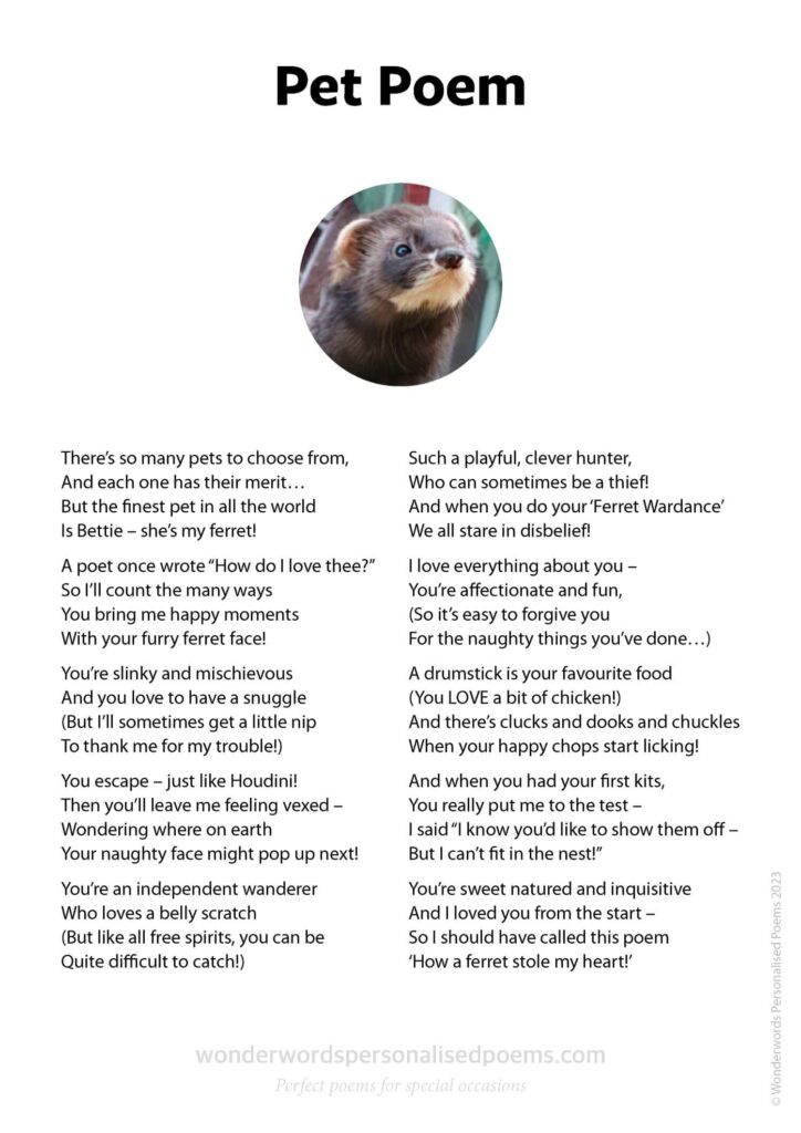 A sample pet poem from Wonderwords Personalised Poems